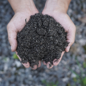 Bioretention Soil