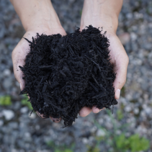 Black Dye Mulch