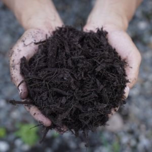 Brown Dye Mulch