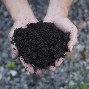 Premium Compost