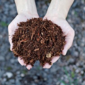 Hemlock Mulch