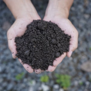 Premium Topsoil