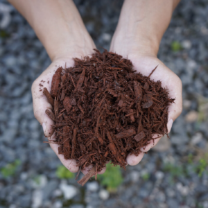 Red Dye Mulch