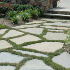 Garden Path & Stepping Stones