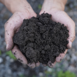 Garden Soil